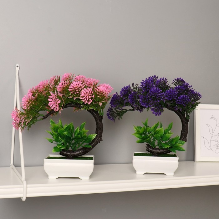 Бонсай в горшке Бонсай в горшке "Селагинелла африканская" 10х20 см, микс