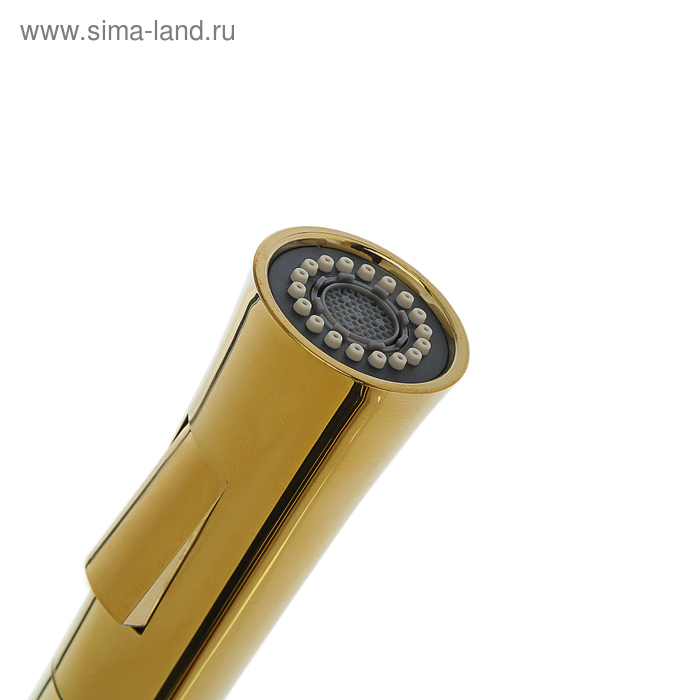 Смеситель для кухни Accoona A4890WF-1, однорычажный, латунь, черный/золото Смеситель для кухни Accoona A4890WF-1, однорычажный, латунь, черный/золото