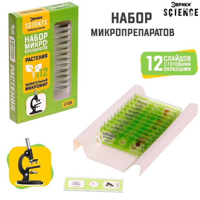 Набор для опытов «Набор микропрепаратов», растения Набор для опытов «Набор микропрепаратов», растения