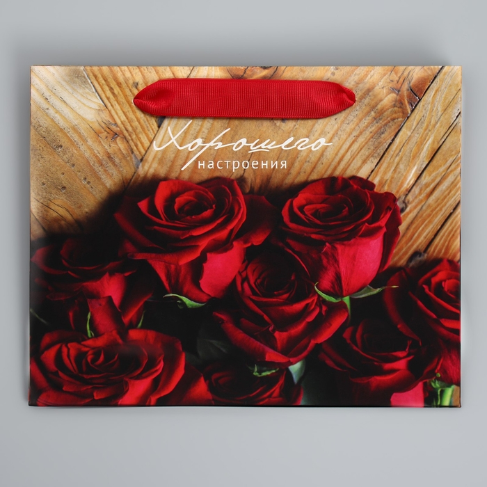 Пакет подарочный ламинированный, упаковка, «Хорошего настроения», 22 х 17.5 х 8 см Пакет подарочный ламинированный, упаковка, «Хорошего настроения», 22 х 17.5 х 8 см