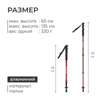 Палки для скандинавской ходьбы ONLITOP, телескопические, 3 секции, до 135 см, 2 шт., цвет МИКС