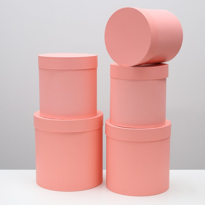 Набор круглых коробок 5 в 1 Набор круглых коробок 5 в 1 "Краски", персиковый, 25 х 25 х 25 - 19 х 19 х 19 см