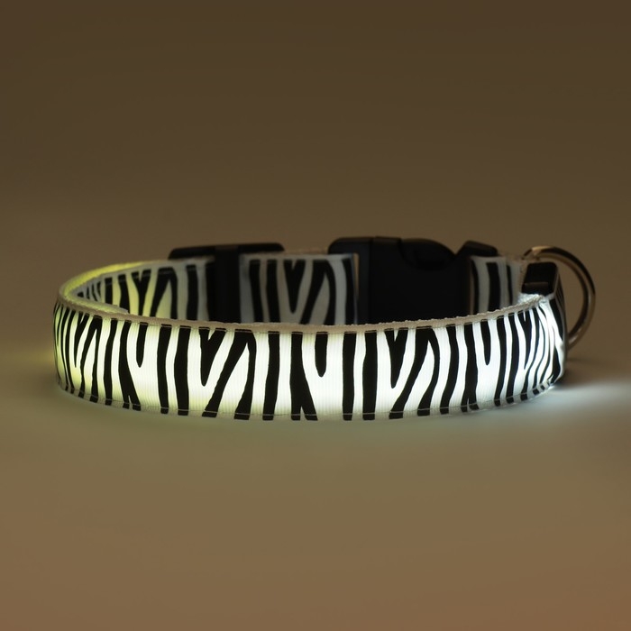 Ошейник с подсветкой Зебра 3 режима свечения размер XL, ОШ 60-70 х 2,5 см белый Ошейник с подсветкой Зебра 3 режима свечения размер XL, ОШ 60-70 х 2,5 см белый