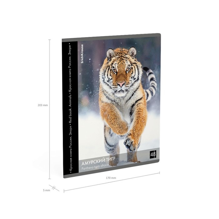Тетрадь 48 листов в клетку, ErichKrause Тетрадь 48 листов в клетку, ErichKrause "Красная книга России. Звери.", обложка мелованный картон, глянцевая ламинация, блок офсет 100% белизна, МИКС