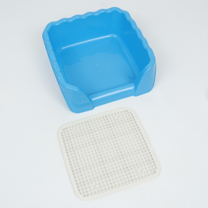 Туалет для собак с высокими бортами и съемной сеткой 43х43х15 см, голубой Туалет для собак с высокими бортами и съемной сеткой 43х43х15 см, голубой