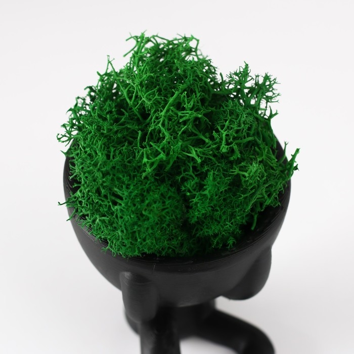 Кашпо бетонное мини Кашпо бетонное мини "Мистер Грин " Мидзару со мхом черный 5,5х6,5х6,5 см (мох зелен стабил)