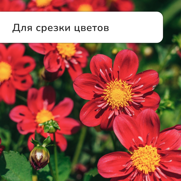 Секатор плоскостной, 9 Секатор плоскостной, 9" (23 см), с пластиковыми ручками