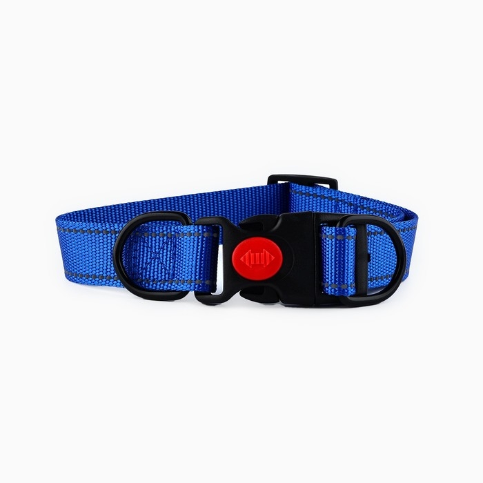 Ошейник из нейлона с фастексом 2,5 см, ОШ 31-48 см, синий Ошейник из нейлона с фастексом 2,5 см, ОШ 31-48 см, синий