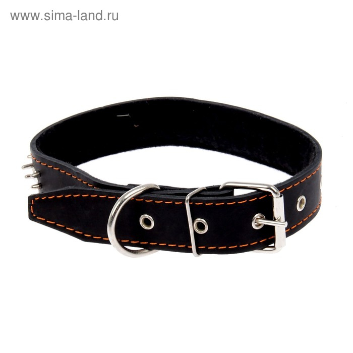 Ошейник кожаный на синтепоне Ошейник кожаный на синтепоне "Ёж", 69 х 3.6 см, ОШ 45-60 см, чёрный