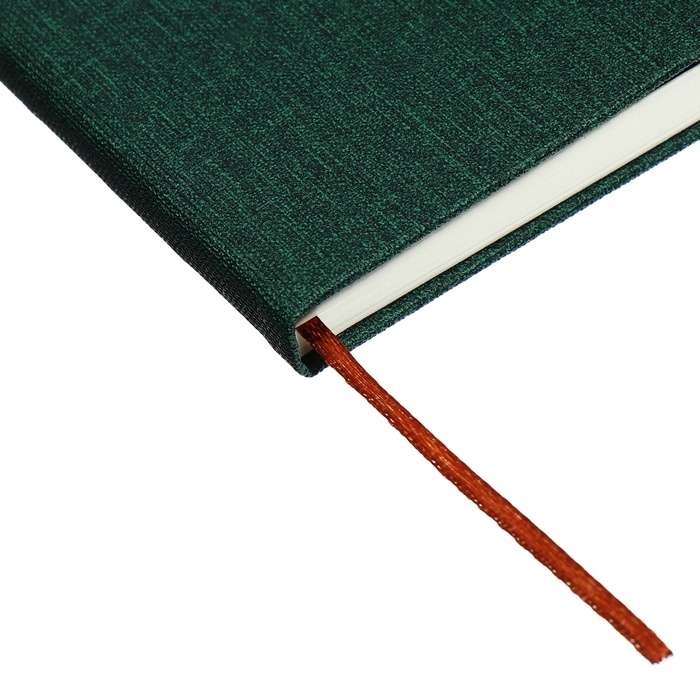 Ежедневник недатированный A5, 96л, лин, держатель для телефона/планшета/ручки, Зеленый Ежедневник недатированный A5, 96л, лин, держатель для телефона/планшета/ручки, Зеленый