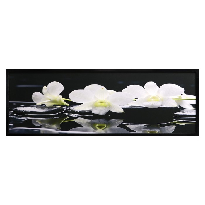 Картина  Картина "Орхидеи на чёрных камнях" 57*157 см рамка МИКС