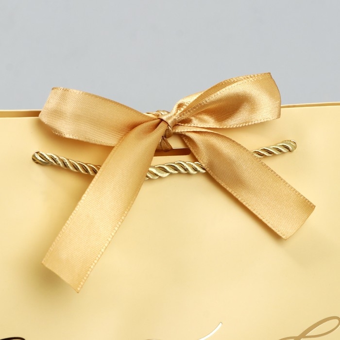 Пакет подарочный новогодний «Lucky present», 26 х 25 х 11 см, Новый год Пакет подарочный новогодний «Lucky present», 26 х 25 х 11 см, Новый год