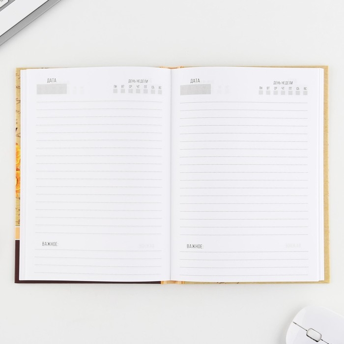 Ежедневник в подарочной коробке «Золотому учителю», формат А5, 80 листов, твердая обложка Ежедневник в подарочной коробке «Золотому учителю», формат А5, 80 листов, твердая обложка