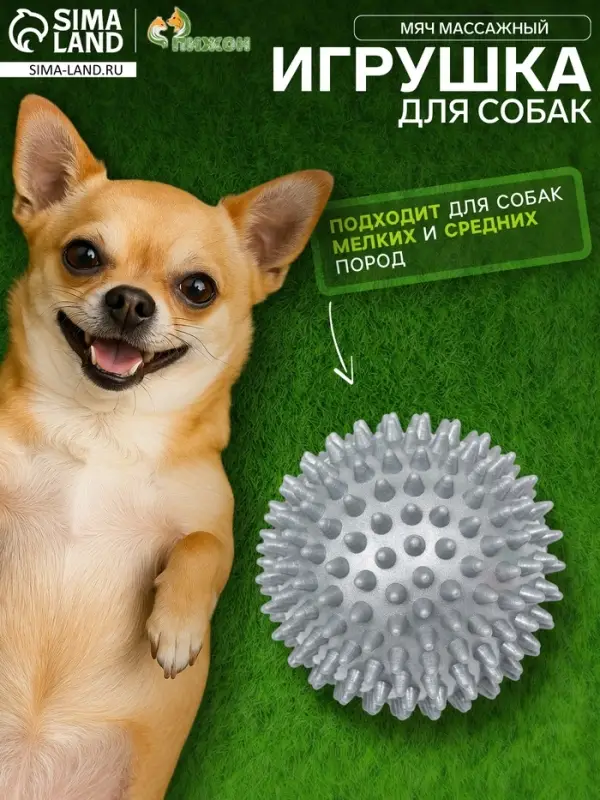 Игрушка для собак &laquo;Мяч массажный&raquo;, 9 см, пластикат, цвет МИКС