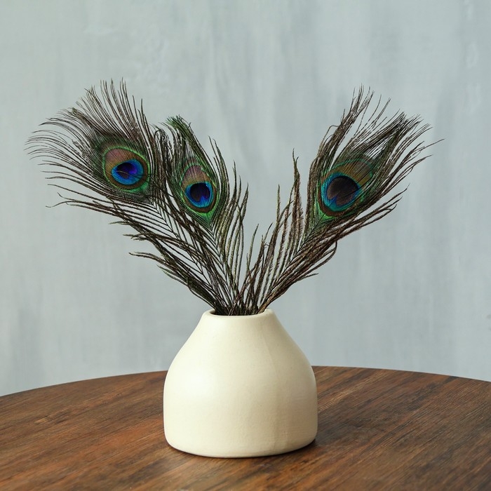 Перо павлина для декора, набор 3 шт., размер 1 шт. &mdash; от 25 до 30 см