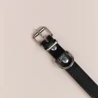 VETTA Ошейник для домашних животных, искусственная кожа, 1,5х29,5 см, обхват 18,5х26,5 см