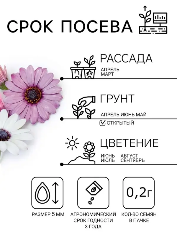 Семена цветов Остеоспермума &laquo;Небо и лед&raquo; смесь, 0.2 г