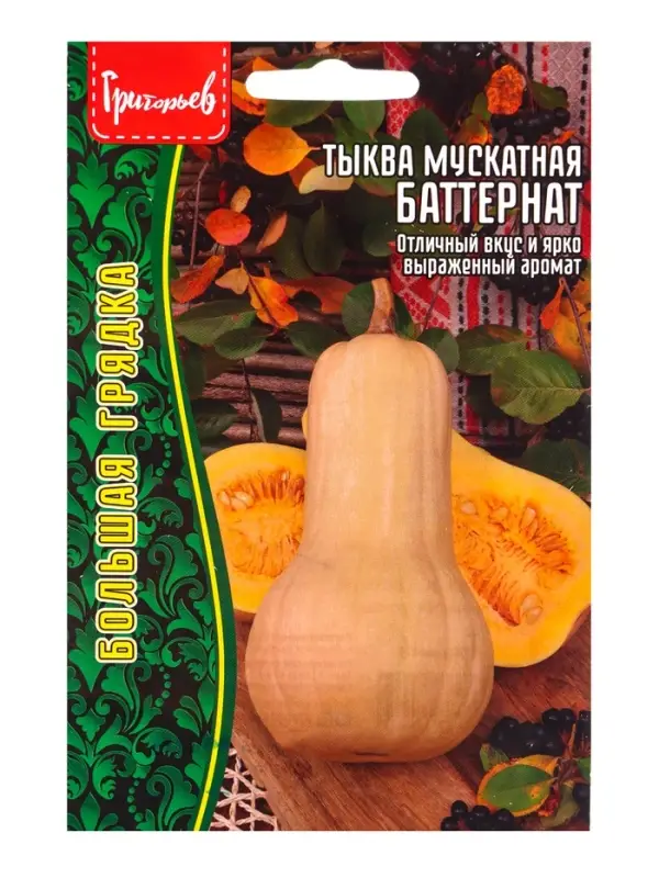 Семена Тыквы мускатной &laquo;Баттернат&raquo;, 5 шт. &laquo;Григорьев&raquo;