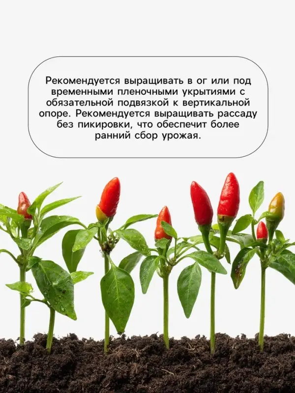 Семена Перец &laquo;Джипси&raquo;, F1, 5 шт., &laquo;Агросс&raquo;