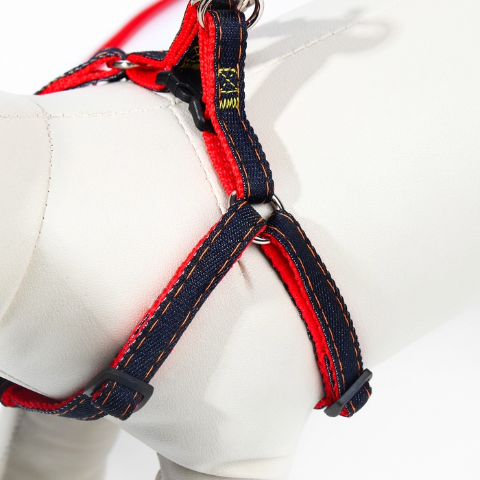 Комплект Комплект "Джинс", ширина 1 см, поводок 120 см, шлейка 25-40 см, красный