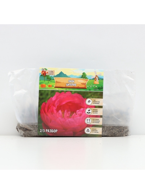 Пион Cytherea, корневище в пакете с торфогрунтом, р-р 2/3, 1 шт. Пион Cytherea, корневище в пакете с торфогрунтом, р-р 2/3, 1 шт.