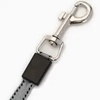 Рулетка - поводок &laquo;Косточка&raquo;, 3 м, с контейнером для пакетов, пластик, голубая