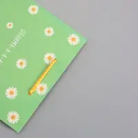 Пакет подарочный "Ромашки - обнимашки" ламинированный 18 х 22,3 х 10 см