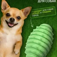 Жевательная игрушка для собак &laquo;Шантажист&raquo;, 10 см, TPR, зелёная