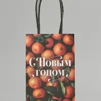 Пакет подарочный крафтовый &laquo;С Новым годом&raquo;, мандарины, 10&times;15&times;6 см