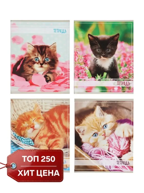 Тетрадь 36 листов в клетку Calligrata &laquo;Котята&raquo;, МИКС