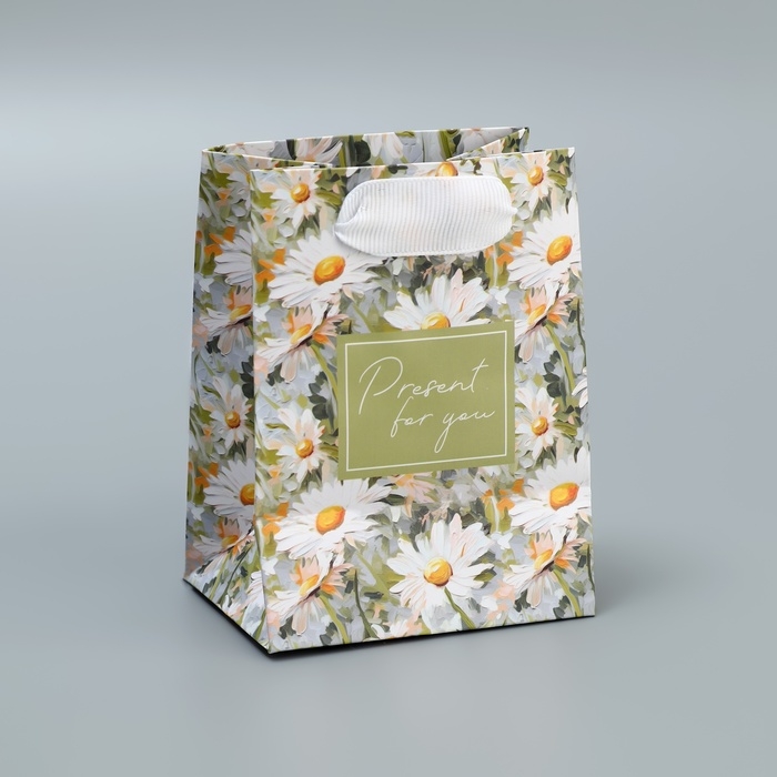 Пакет подарочный ламинированный, упаковка, Present, 9 х 12 х 6.5 см Пакет подарочный ламинированный, упаковка, Present, 9 х 12 х 6.5 см