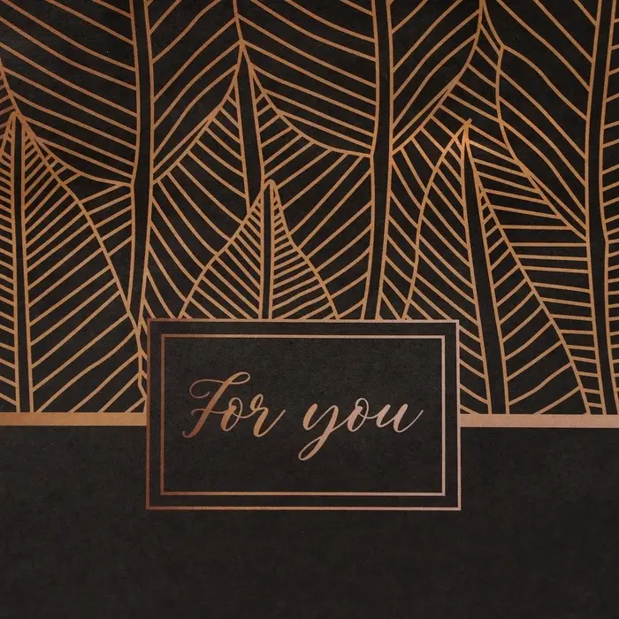 Пакет подарочный крафтовый For You 15×21×8 см, 120 г/м² Пакет подарочный крафтовый For You 15×21×8 см, 120 г/м²