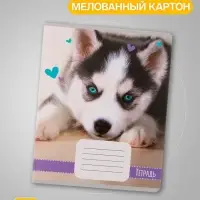 Комплект тетрадей из 10 штук, 18 листов в линию Calligrata "Домашние животные", обложка мелованный картон, ВД-лак, блок офсет, 5 видов по 2 штуки