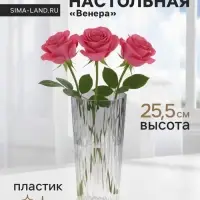 Ваза для цветов &laquo;Венера&raquo;, геометрия, 25.5&times;11.5 см, пластик, прозрачная