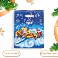 Пакет «Зимняя дорога», полиэтиленовый с вырубной ручкой, 30×40 см