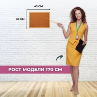 Доска пробковая HDF Attache Economy 30х45 деревян. рама