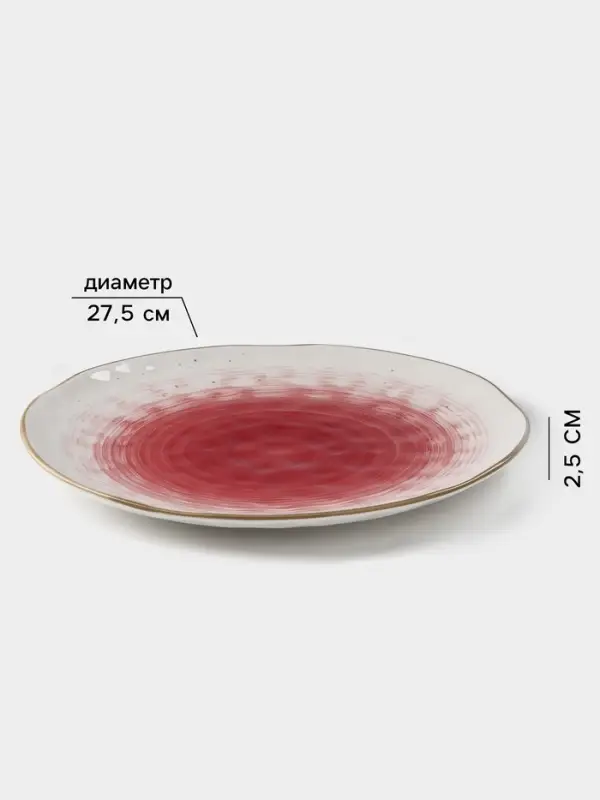 Тарелка Доляна &laquo;Космос&raquo;, d=27.5 см, фарфор, белая, красная