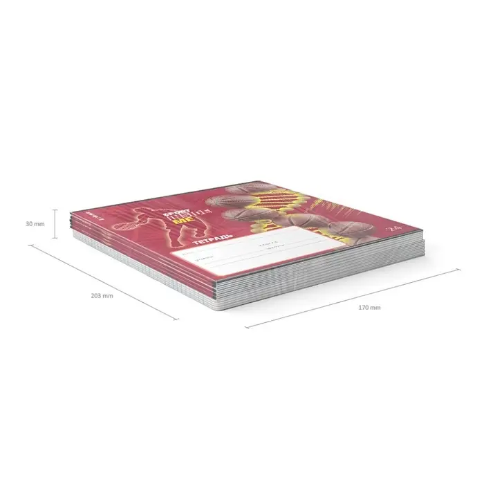 Тетрадь 24 листа в линейку, ErichKrause Sport DNA, обложка мелованный картон, УФ-лак, блок офсет 100% белизна, МИКС