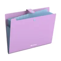 Папка А4 Haze, 12 отделений, 600 мкм, на кнопке, сиреневая