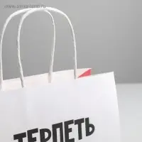 Пакет подарочный, упаковка, &laquo;Терпеть тебя не могу&raquo;, 22&times;22&times;11 см