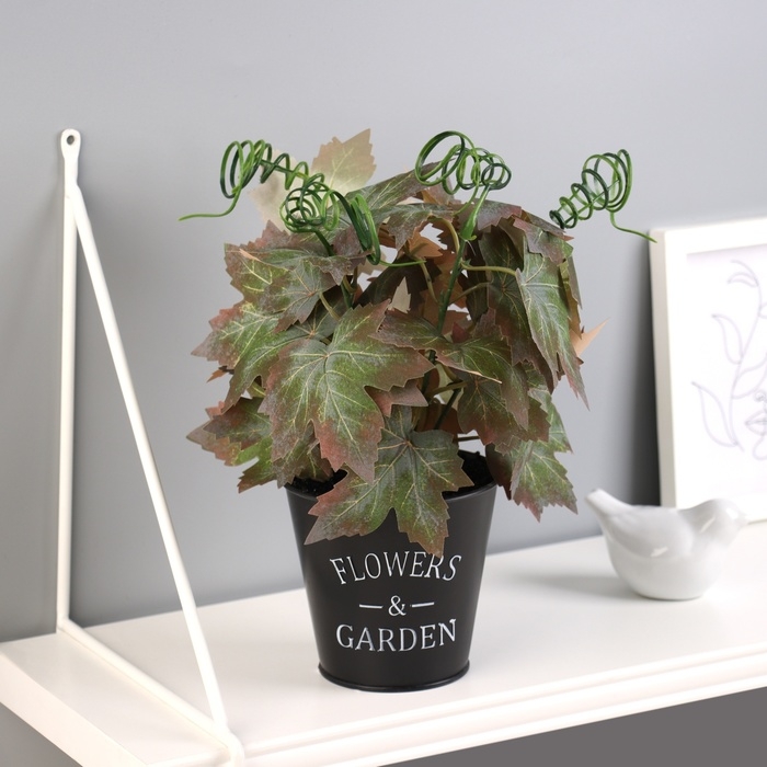 Бонсай в горшке Бонсай в горшке "Гейхера эстра" 25х10 см, микс