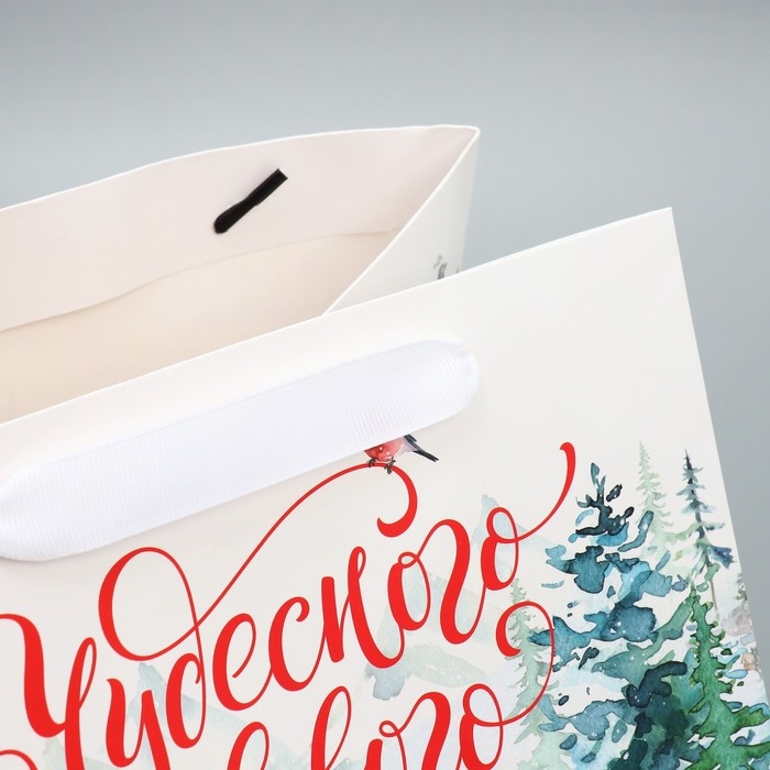 Пакет подарочный новогодний с широким дном «Новогодние чудеса», 25 х 19 х 18 см, Новый год Пакет подарочный новогодний с широким дном «Новогодние чудеса», 25 х 19 х 18 см, Новый год