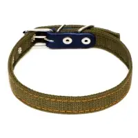 Ошейник брезентовый двухслойный, 50&times;2 см, ОШ 25-35 см, хаки