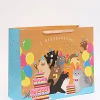 Пакет подарочный ламинированный, упаковка, &laquo;С Праздником!&raquo;, XL 49&times;40&times;19 см