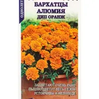 Семена Бархатцы Алюмия Дип оранж F1 /Сотка/ 10шт/ h-25-30см d-6см/*1800 Семена Бархатцы Алюмия Дип оранж F1 /Сотка/ 10шт/ h-25-30см d-6см/*1800