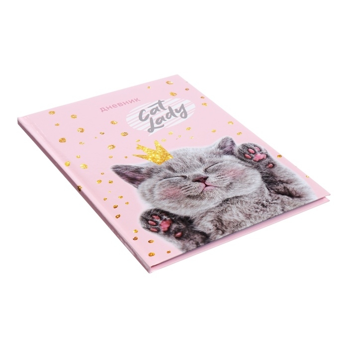 Дневник универсальный для 1-11 классов, Дневник универсальный для 1-11 классов, "Киса", твердая обложка 7БЦ, глянцевая ламинация, 40 листов