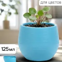 Горшок цветочный &laquo;Япония&raquo;, 125 мл, d=8 см, h=6.5 см, пластиковый, с поддоном, бирюзовый