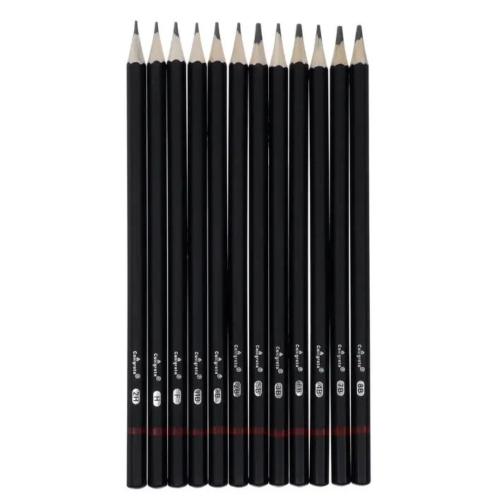 Набор карандашей чернографитных Calligrata, 12 штук, разная твёрдость, шестигранные, деревянные