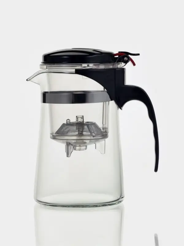 Чайник заварочный гунфу Magistro &laquo;Мантана&raquo;, 500 мл, с пластиковом сито, боросиликатное стекло, прозрачный