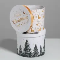 Набор подарочных коробок 5 в 1 &laquo;Белое золото&raquo;, 13&times;14‒19.5&times;22 см, Новый год